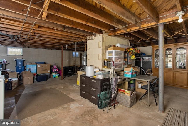 basement with concrete block wall