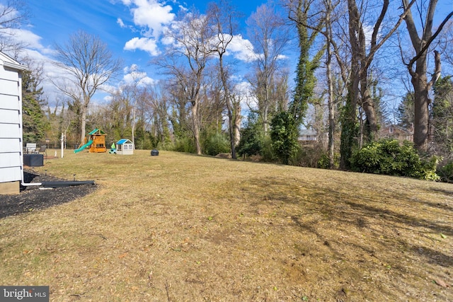 view of yard with a playground