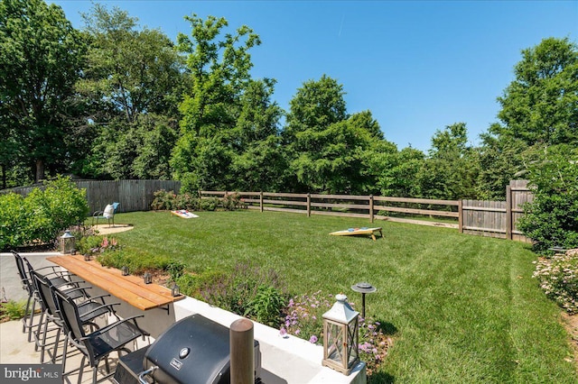 view of yard featuring a fenced backyard