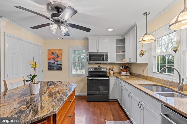 kitchen with dark wood finished floors, ornamental molding, stainless steel appliances, and a sink