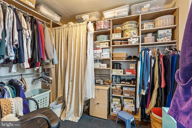 view of spacious closet