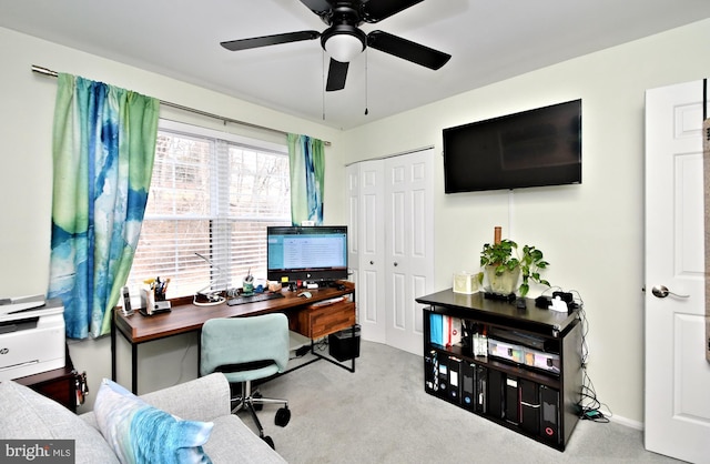 office space featuring a ceiling fan and carpet flooring