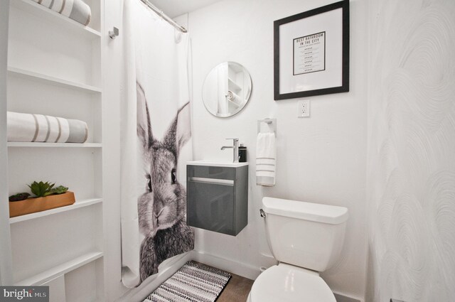 136 W Lytle Ave, State College, PA 16801 - full bathroom with toilet, built in shelves, a sink, and a shower with curtain