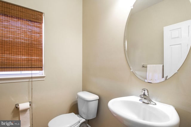 bathroom with a sink and toilet