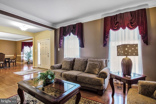 living area featuring ornamental molding, a wealth of natural light, wood-type flooring, and baseboards