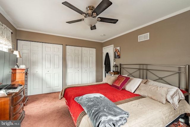 bedroom featuring multiple closets, visible vents, ornamental molding, a ceiling fan, and carpet flooring