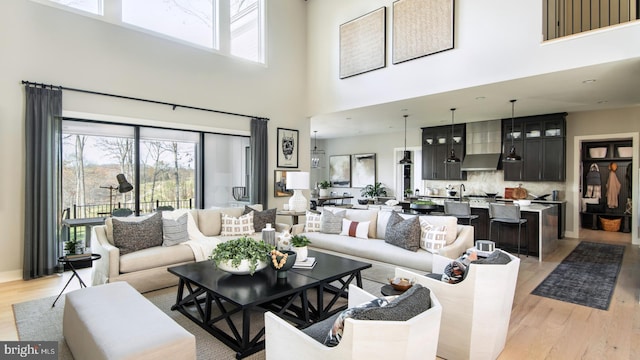 living area featuring light wood-style floors