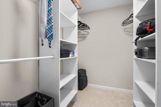 walk in closet featuring carpet floors