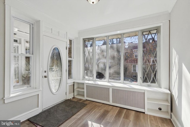 foyer entrance with radiator heating unit, baseboards, and wood finished floors