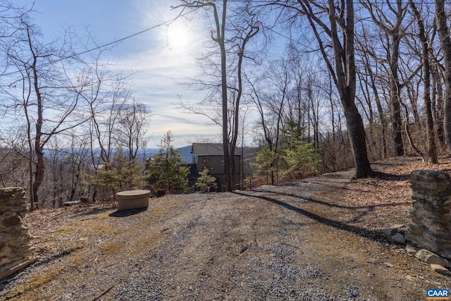 view of street featuring gravel driveway