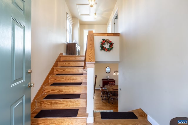 stairway featuring wood finished floors