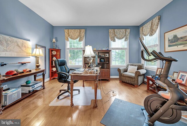 home office featuring a wealth of natural light, baseboards, and wood finished floors