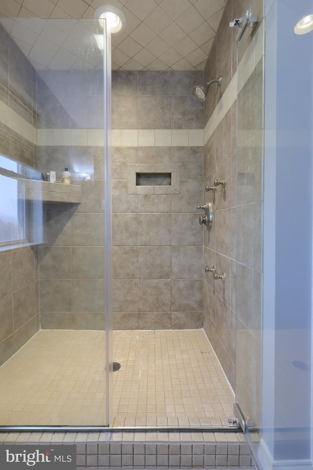 bathroom featuring a shower stall