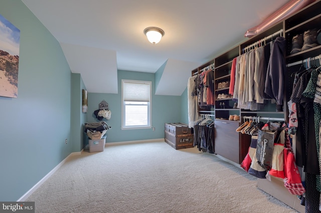 walk in closet featuring carpet floors