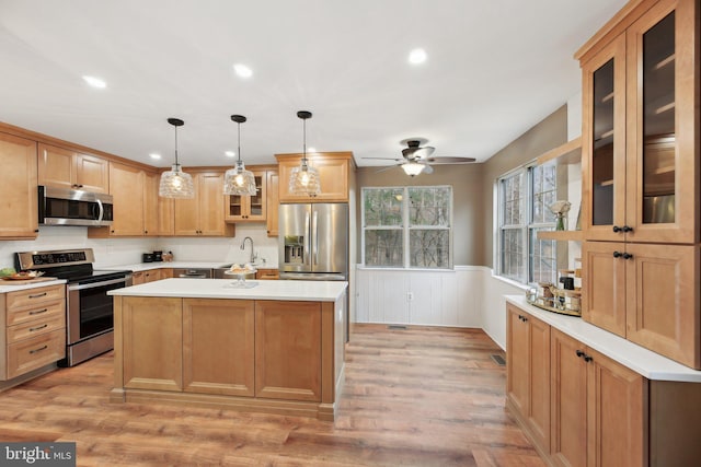 kitchen with light wood-style flooring, a wainscoted wall, a sink, light countertops, and appliances with stainless steel finishes