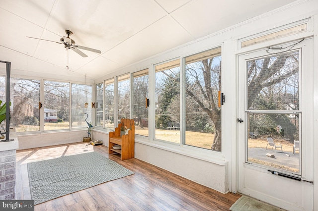 unfurnished sunroom featuring a healthy amount of sunlight and ceiling fan