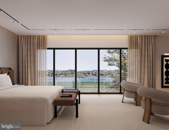 bedroom featuring a water view and rail lighting