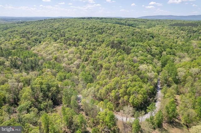 Shockeysville Rd, Winchester VA, 22603 land for sale