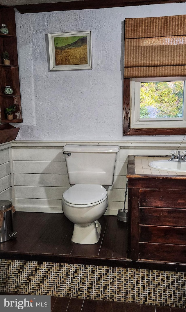 half bathroom with a textured wall, wainscoting, a sink, and toilet