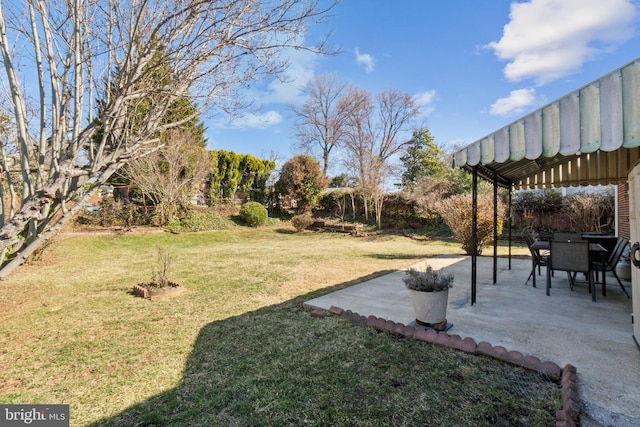 view of yard with a patio area