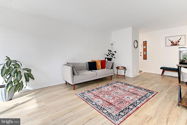 living room with baseboards and wood finished floors