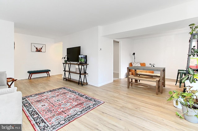 living room with light wood-style flooring