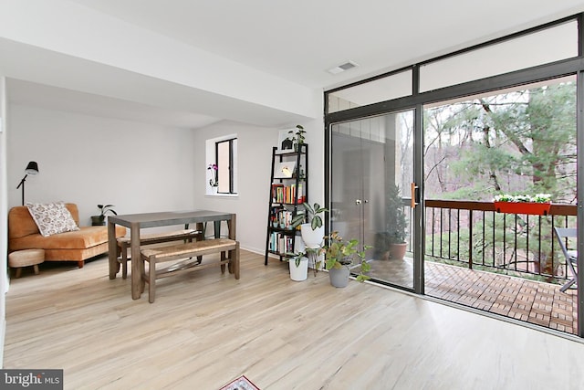 interior space featuring expansive windows, light wood-style flooring, and visible vents