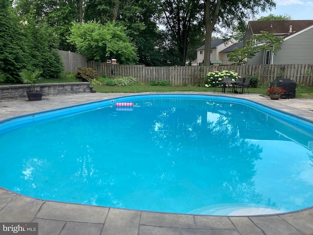 view of swimming pool with a fenced in pool, a patio area, and a fenced backyard