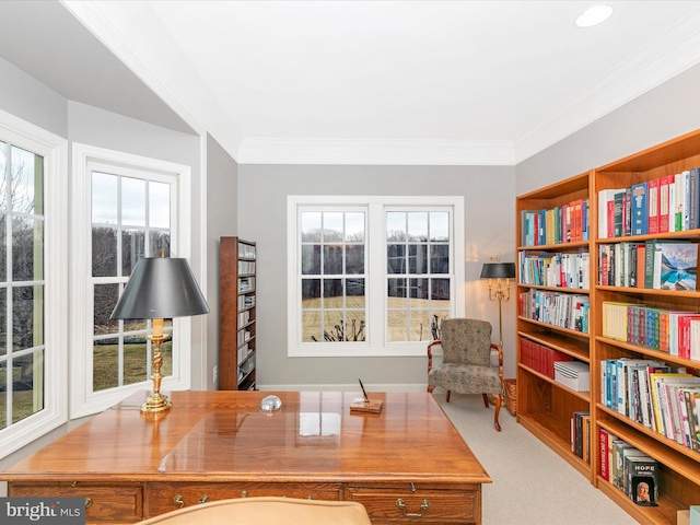 office with carpet floors and crown molding