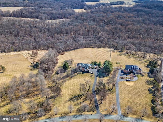 bird's eye view with a view of trees