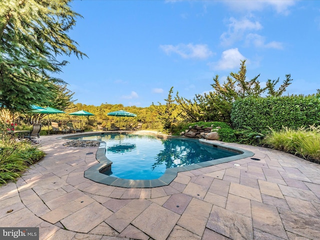 view of pool featuring a patio and a fenced in pool