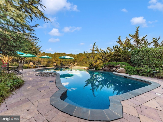 view of swimming pool featuring a fenced in pool and a patio