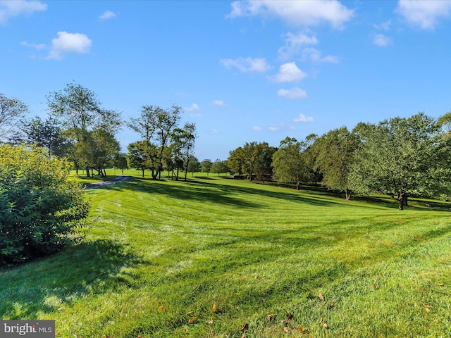 view of community featuring a yard