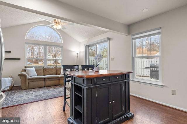 kitchen featuring plenty of natural light, lofted ceiling, hardwood / wood-style flooring, dark cabinets, and open shelves