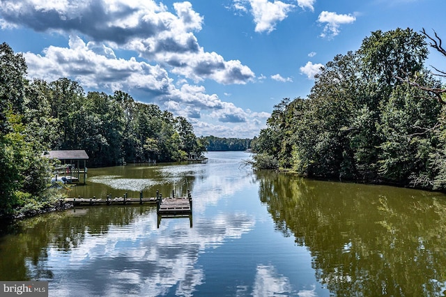 view of water feature featuring a boat dock and a view of trees