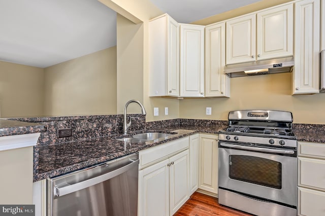 kitchen featuring wood finished floors, under cabinet range hood, a sink, dark stone countertops, and stainless steel appliances