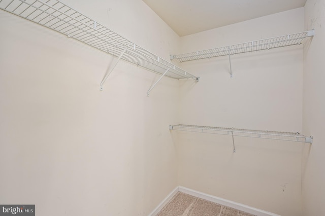 walk in closet featuring light carpet