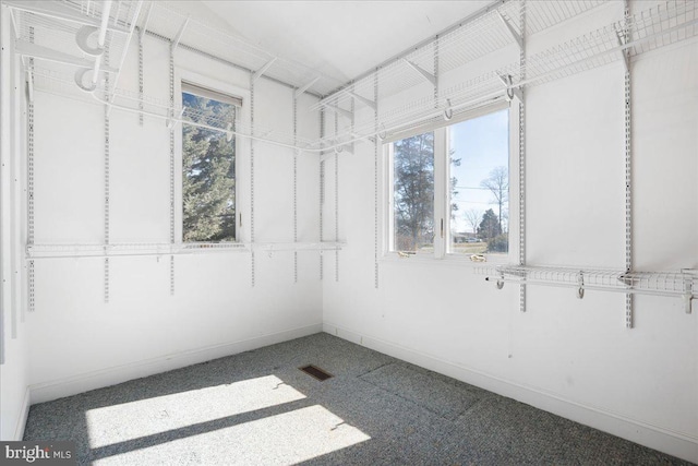 spacious closet featuring carpet and visible vents