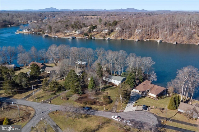 bird's eye view featuring a water view and a wooded view