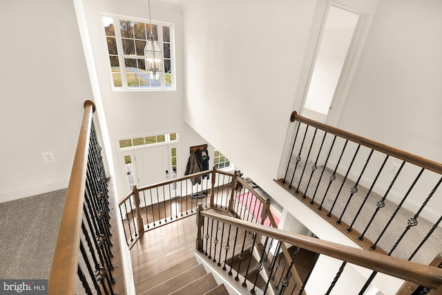 staircase with a towering ceiling, baseboards, and wood finished floors