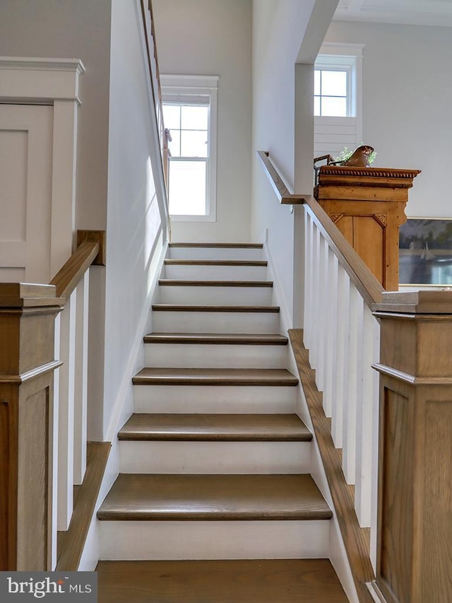 staircase featuring a wealth of natural light