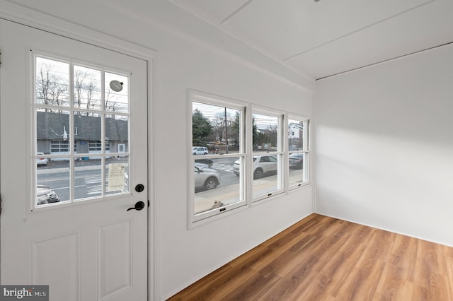 doorway to outside featuring wood finished floors and a healthy amount of sunlight