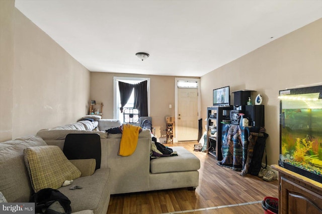 living area with wood finished floors