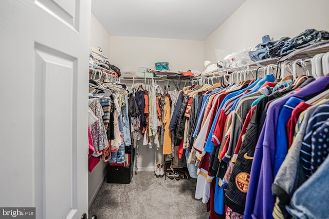 walk in closet featuring carpet