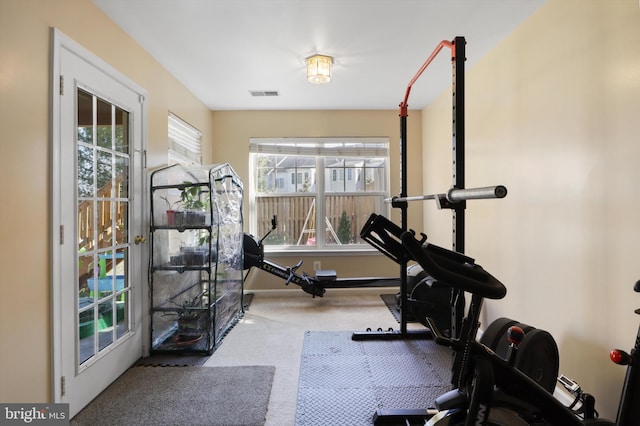 workout area featuring visible vents, carpet floors, and baseboards