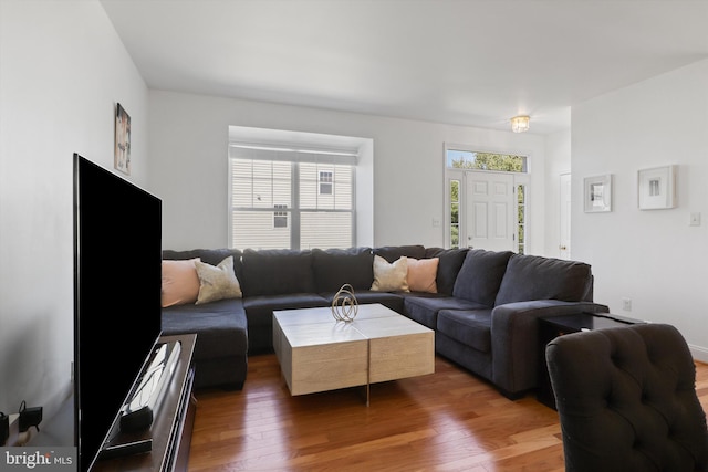 living room featuring wood-type flooring