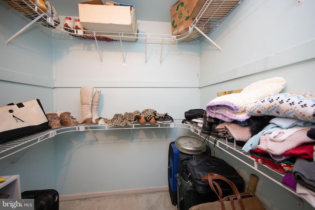 spacious closet featuring carpet floors