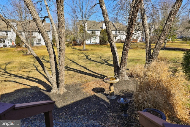 view of yard featuring a residential view