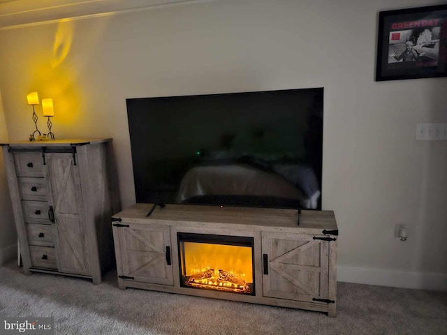 interior details featuring baseboards and carpet