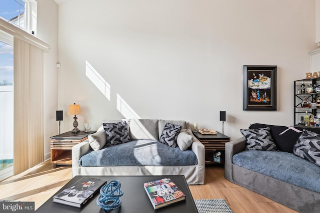 living room featuring wood finished floors